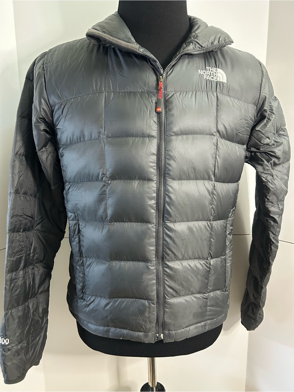 The North Face Men’s Black Insulated Puffer Packable 800 Down Jacket